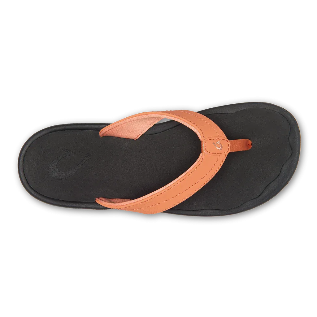 'Ohana::Shell Coral